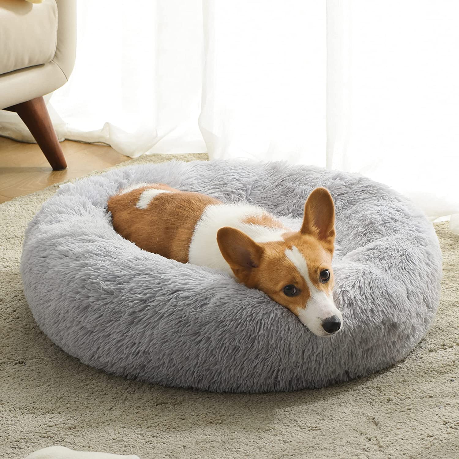 Cama relajante mascotas - EasyPet™